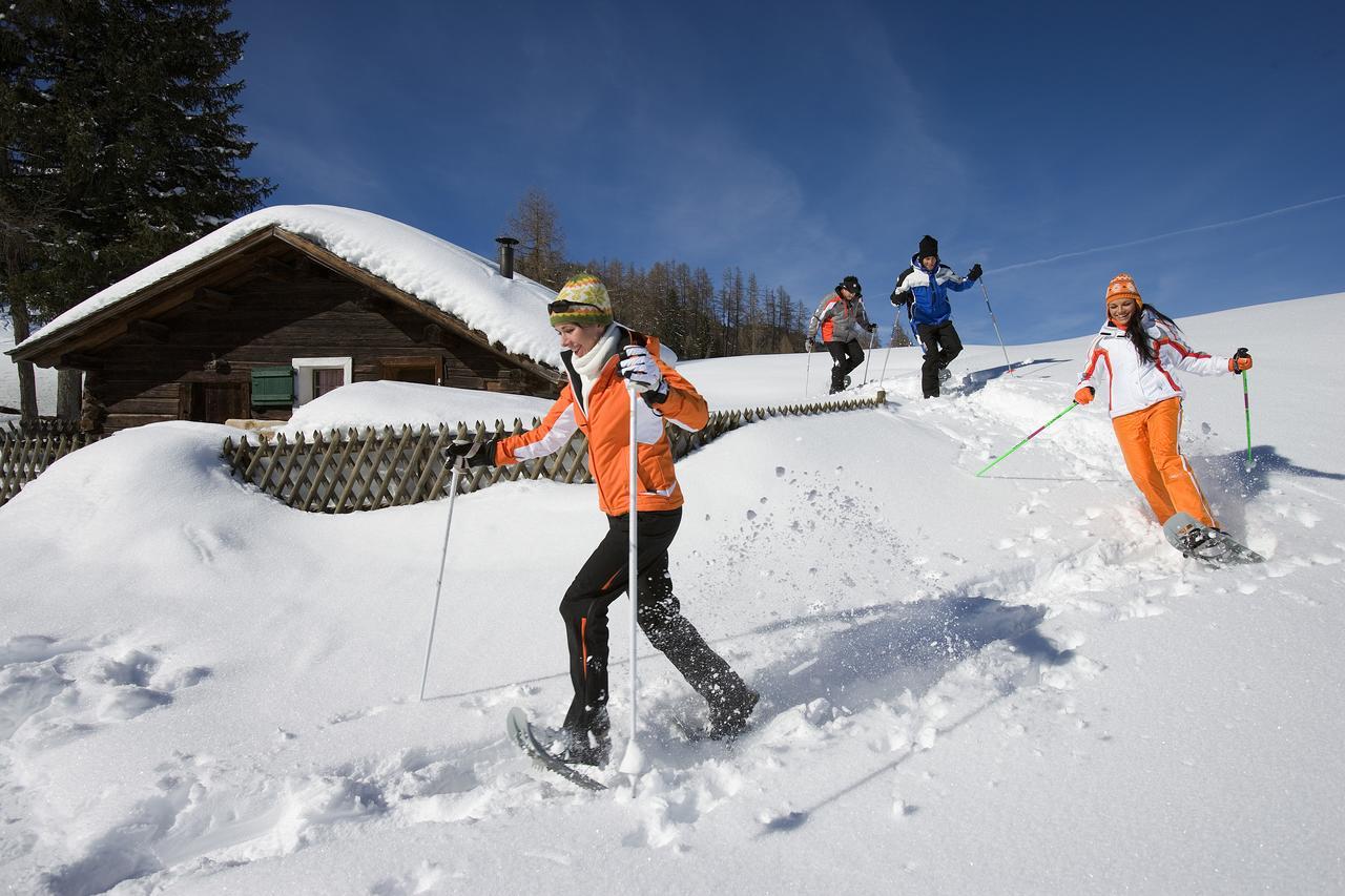 Alm - Chalet Domig Villa Damuels Exteriör bild